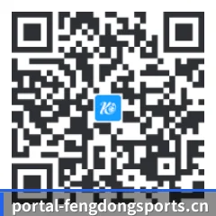 系统版 iOS 二维码